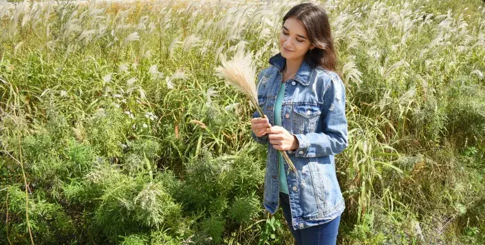Okrasné traviny jsou v zahradách velmi oblíbené Okrasné traviny jsou v zahradách velmi oblíbené