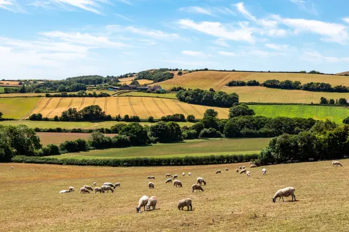 Měsíc červenec má mnoho pranostik