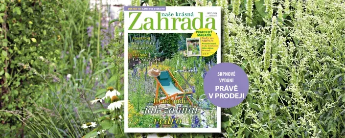 Srpnová Naše krásná zahrada Srpnová Naše krásná zahrada