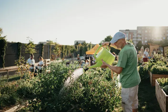 Komunitní zahrada Centra Černý Most