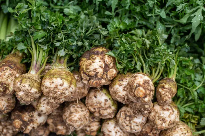 Celer patří mezi nejzdravější zeleninu 