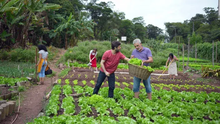 Komunitní zahrady vzrůstají na oblibě Komunitní zahrady vzrůstají na oblibě