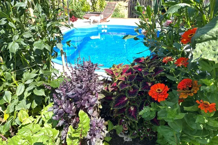 bazén simona bazén simona