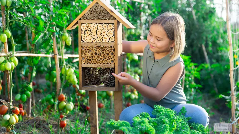 Jak pozvat na zahradu život?