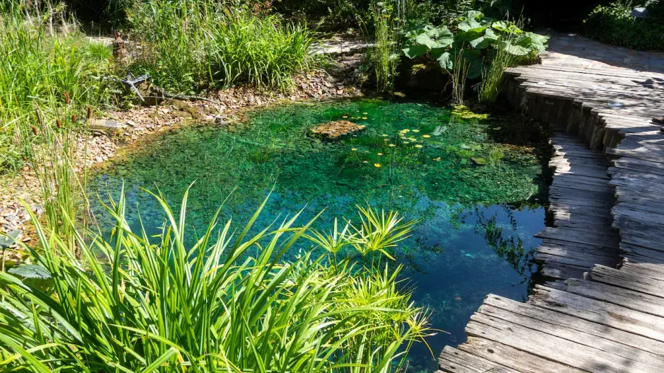 Praktický průvodce výběrem čerpadla do jezírka Praktický průvodce výběrem čerpadla do jezírka