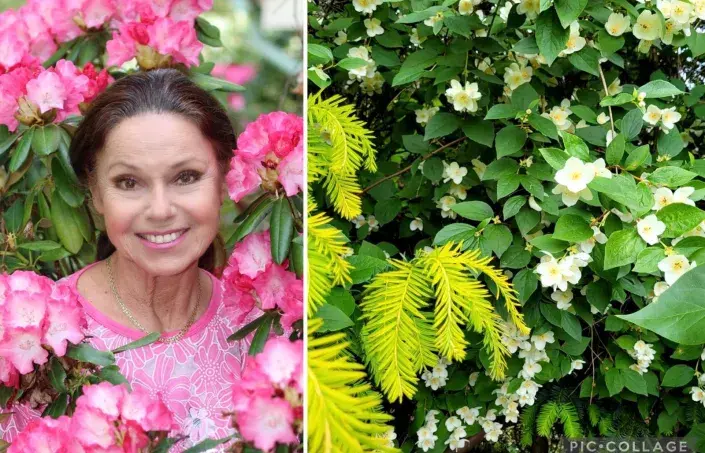 Spisovatelka Eva Hudečková