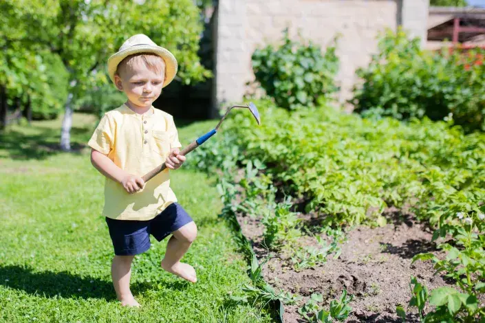 Permakulturní zahradničení Permakulturní zahradničení