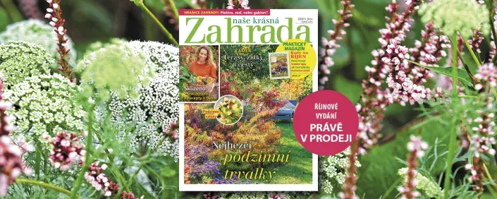 Naše krásná zahrada říjen 2024 Naše krásná zahrada říjen 2024