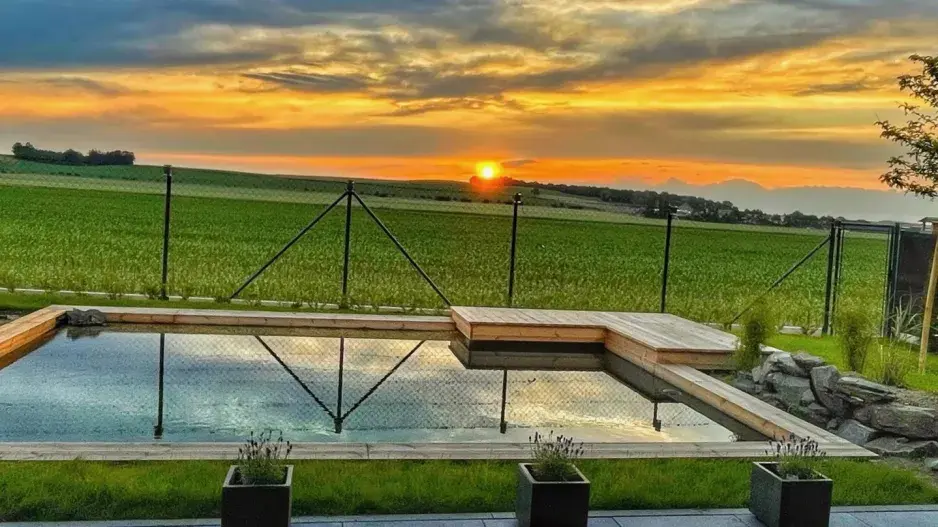 Jak vybírat jezírkový vysavač