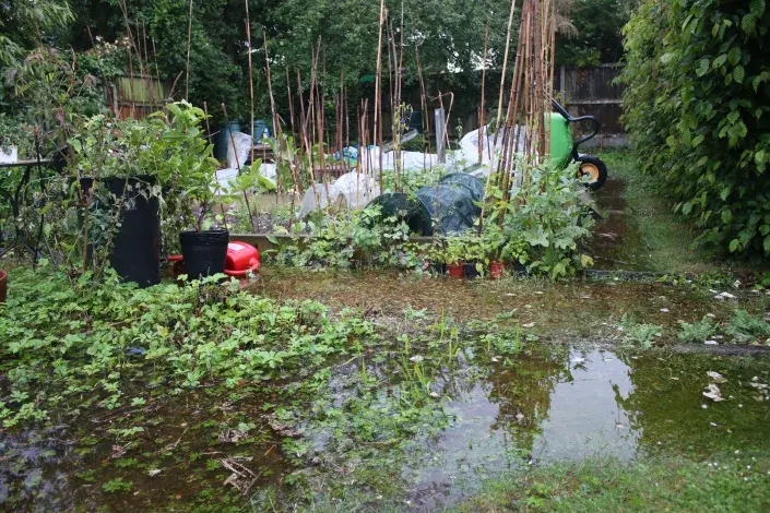 Velká voda v zahradě