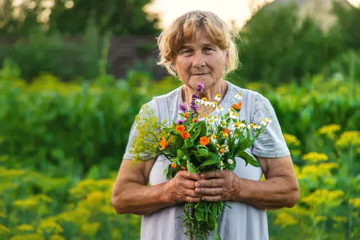 Lidové názvy bylin