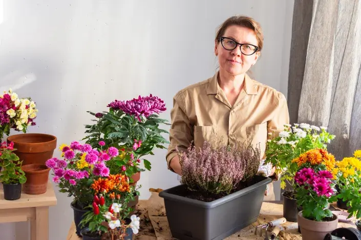 Je čas pro výsadbu podzimních rostlin