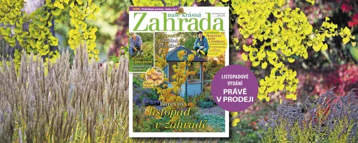 Naše krásná zahrada 11/2024 Naše krásná zahrada 11/2024