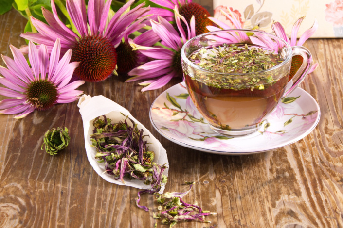 echinacea