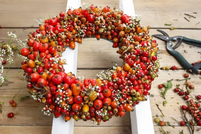 Podzimní dekorativní věnec z šípků. Podzimní dekorativní věnec.