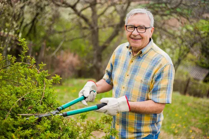 řez keřů řez keřů