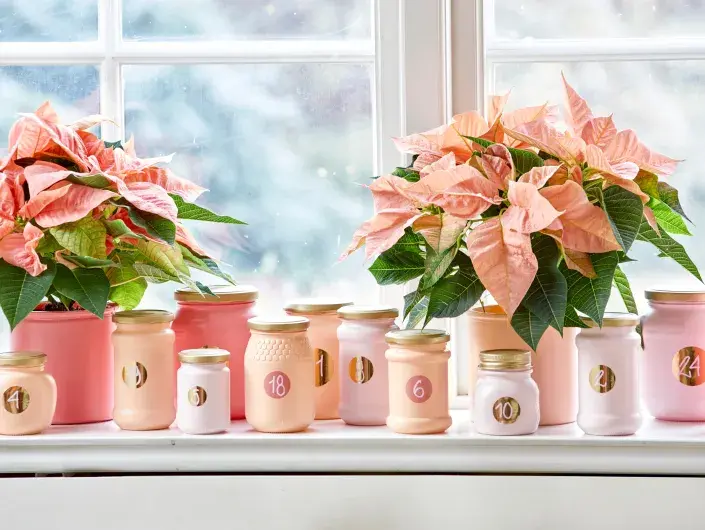 adventní kalendáře adventní kalendáře