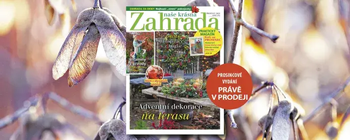 Naše krásná zahrada 12/2024
