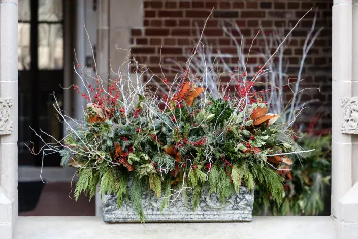 zimní truhlík zimní truhlík