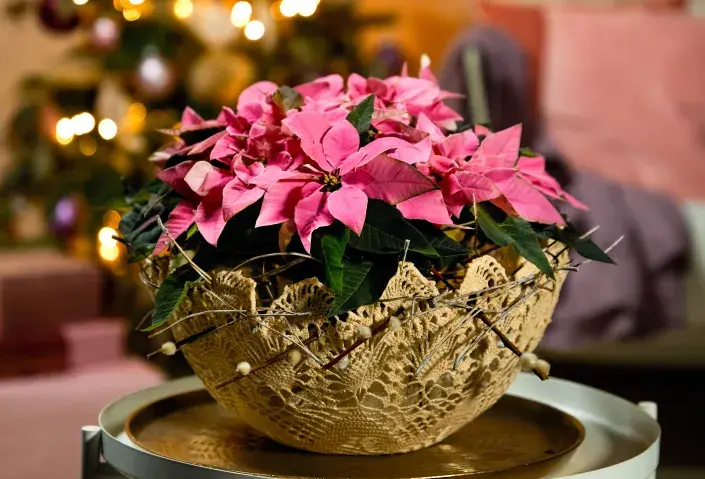 Vánoce DIY Vánoce DIY