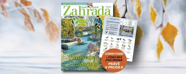 Naše krásná zahrada 1/2025 Naše krásná zahrada 1/2025