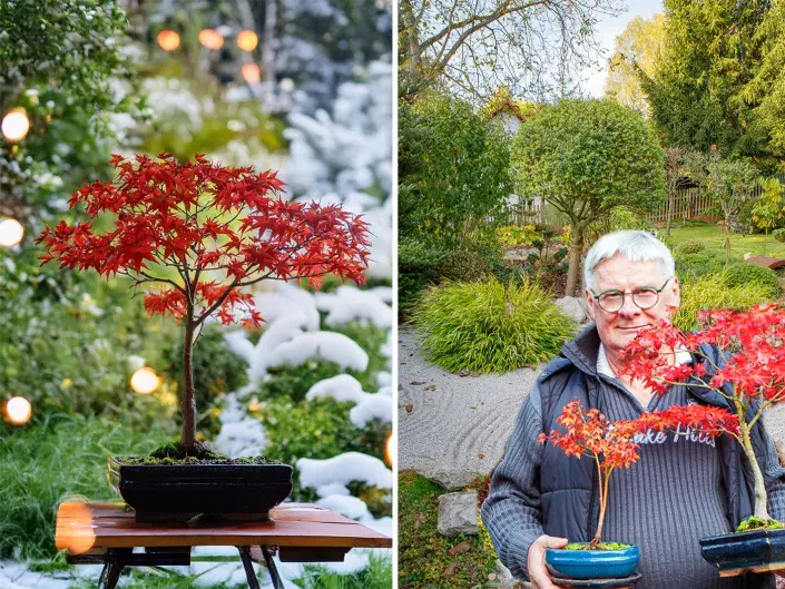 Dechberoucí japonská zahrada 