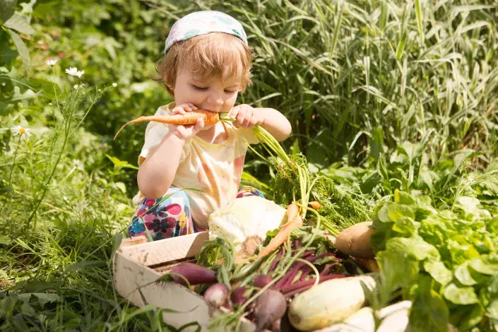 Pěstování zeleniny