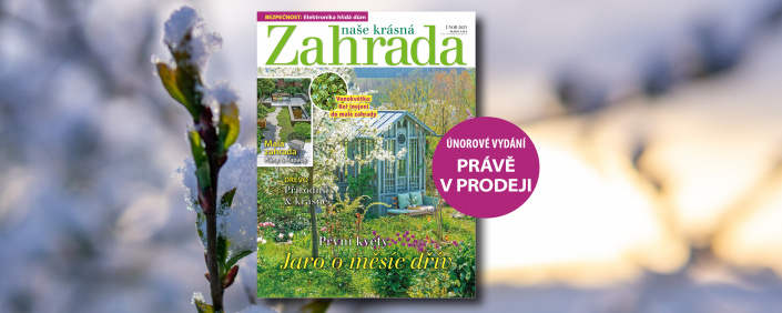 Naše krásná zahrada 2/2025
