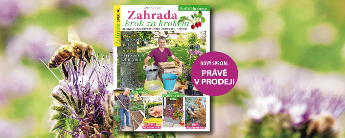 Speciál Zahrada krok za krokem