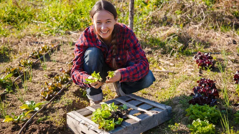 Líné zahradničení 