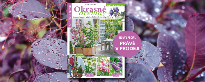 Naše krásná zahrada Okrasné dřeviny