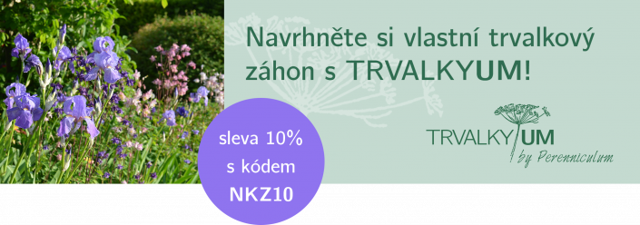 Trvalky