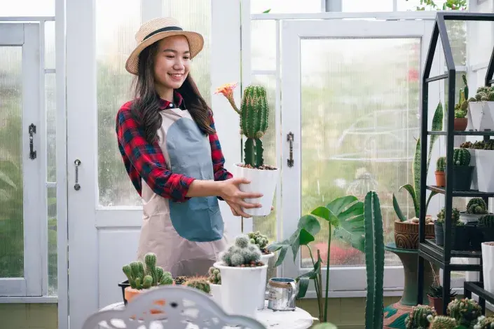 Pěstování kvetoucích kaktusů 