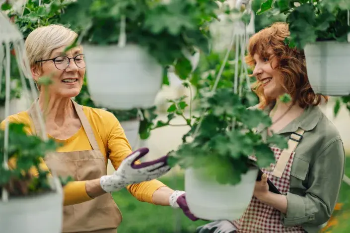 závěsné květináče závěsné květináče