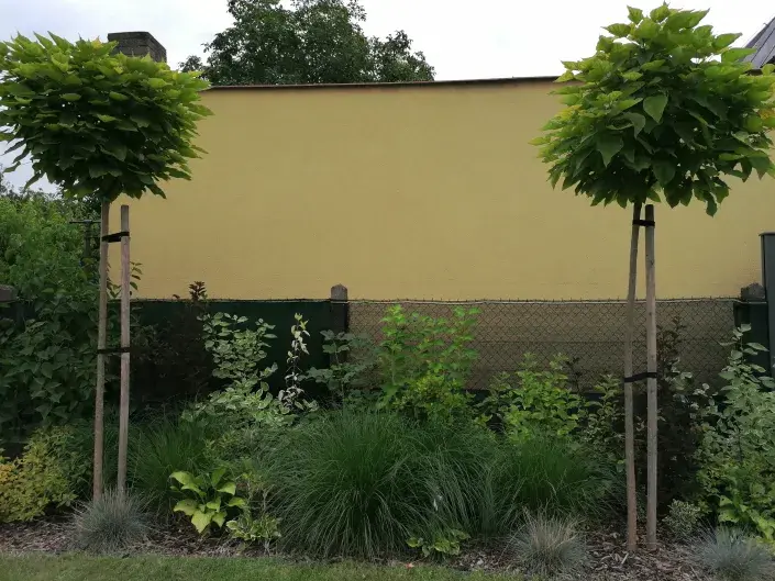 okrasný záhon okrasný záhon