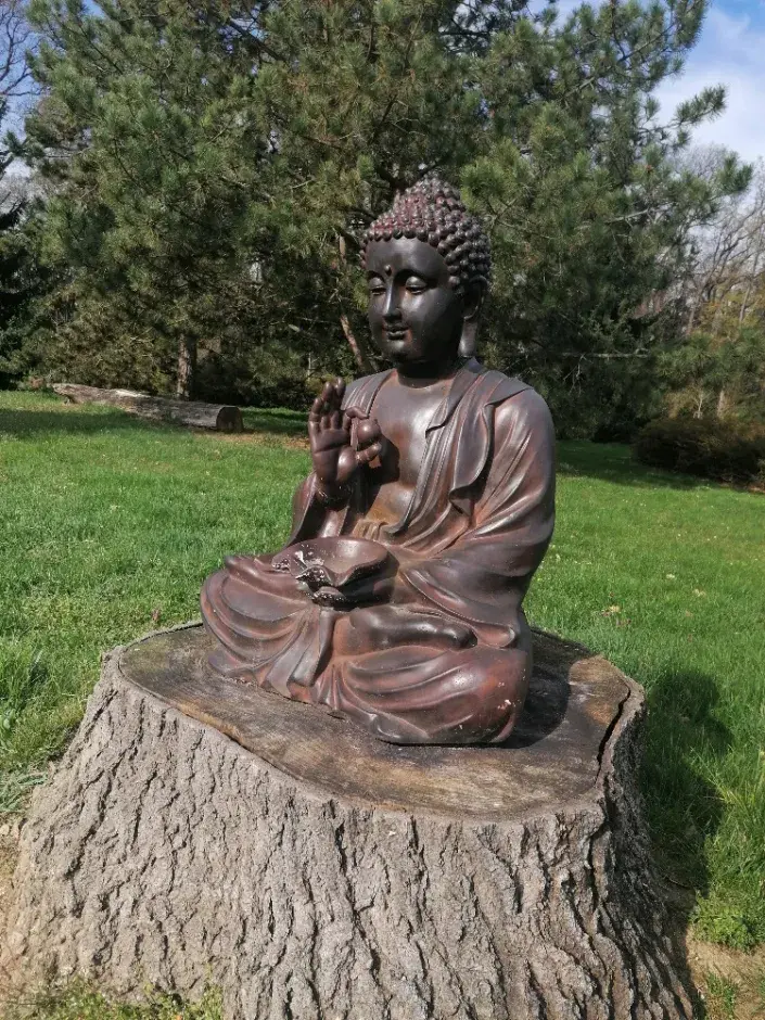 Socha Buddhy 