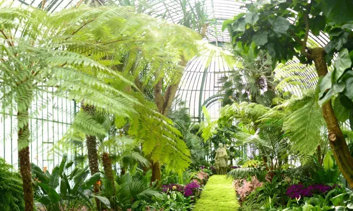 Královské skleníky Královské skleníky