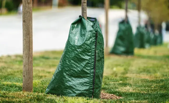 zavlažovací vaky zavlažovací vaky