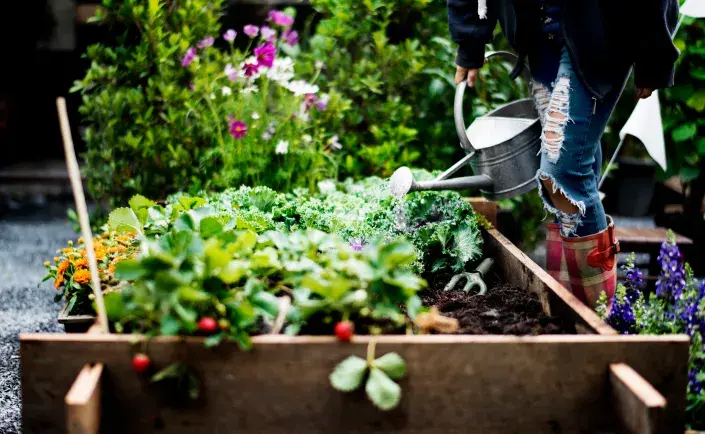 Zahradu mohou zlikvidovat neviditelní škůdci 