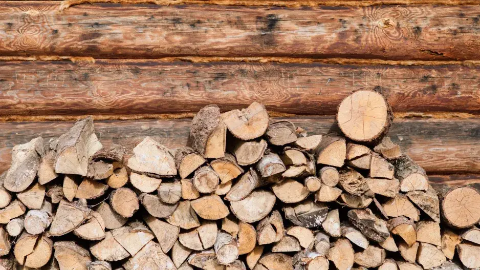 Dřevo