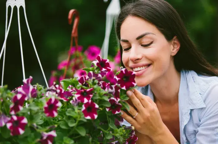 závěsné koše závěsné koše