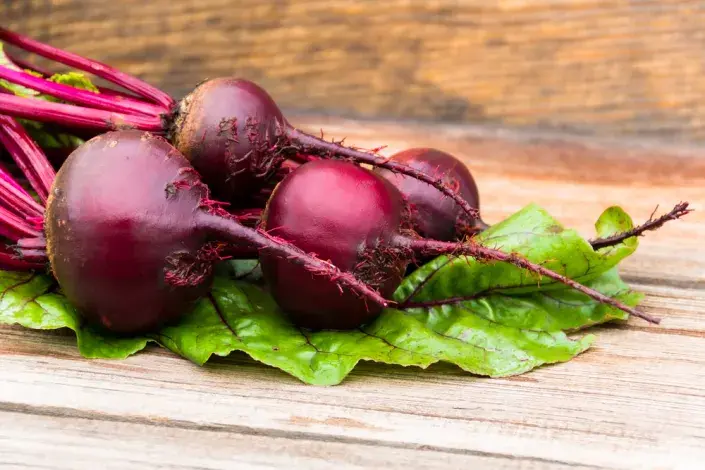 Červená řepa (Beta vulgaris)  Červená řepa (Beta vulgaris)