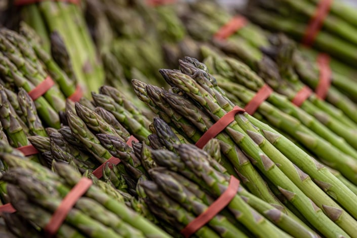 Chřest lékařský (Asparagus officinalis) 