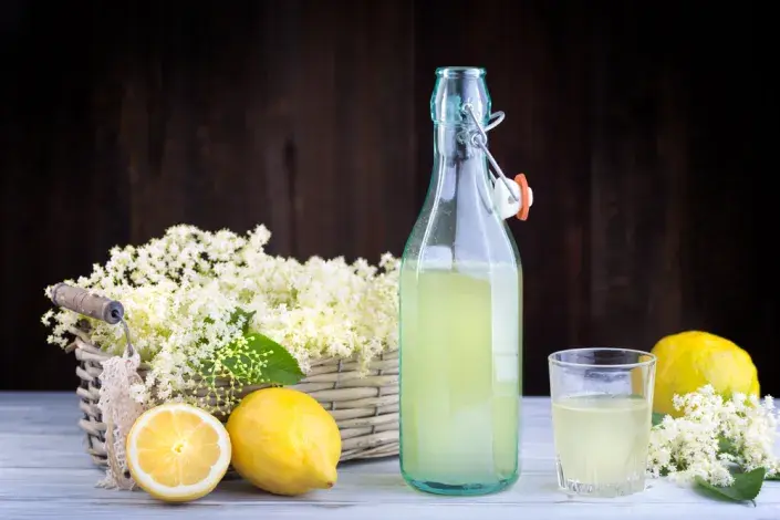 Bez černý Bez černý