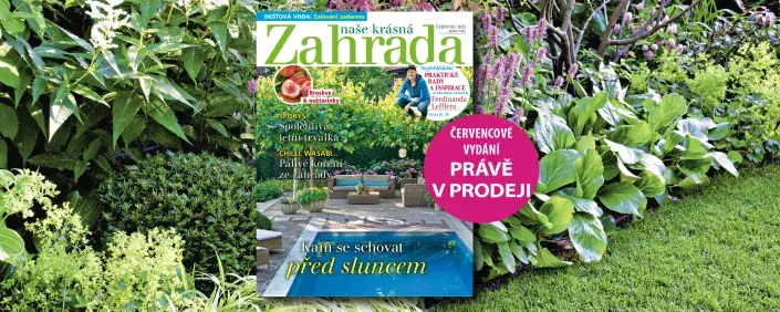 Naše krásná zahrada 7/2025 Naše krásná zahrada 7/2025