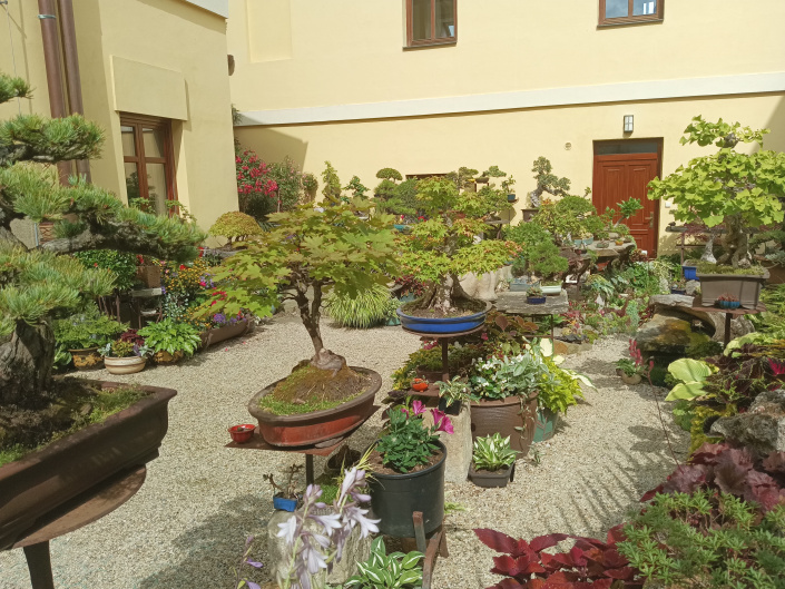 Zahrada Chrudim