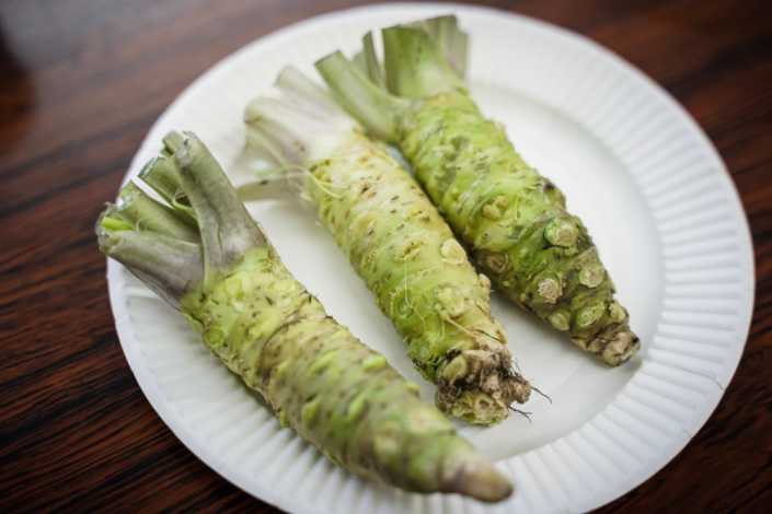 Japonský křen wasabi (Wasabia japonica) 
