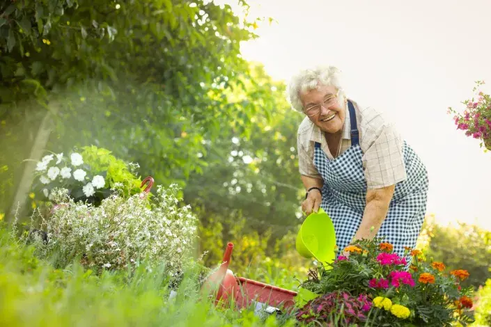 Babičky na zahradě Babičky na zahradě