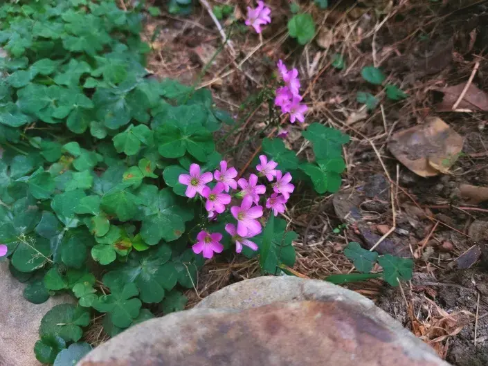 Vypadá nevinně Vypadá nevinně