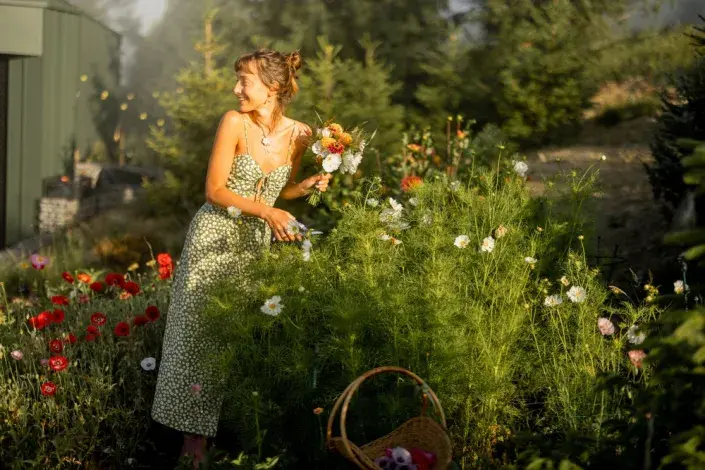 Nový zákon o zahradách 2025